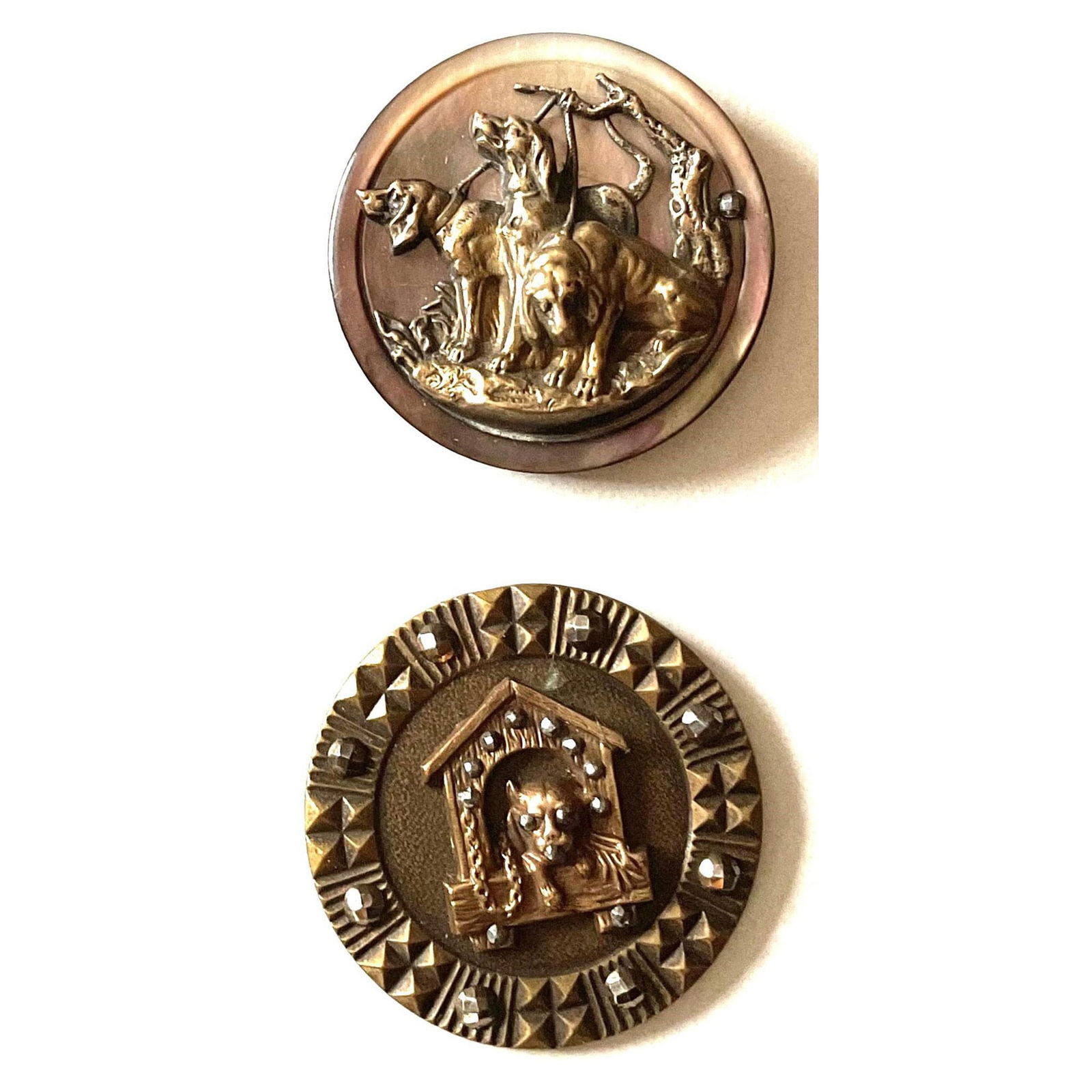 A small card of division one Dog button (1 of 4)