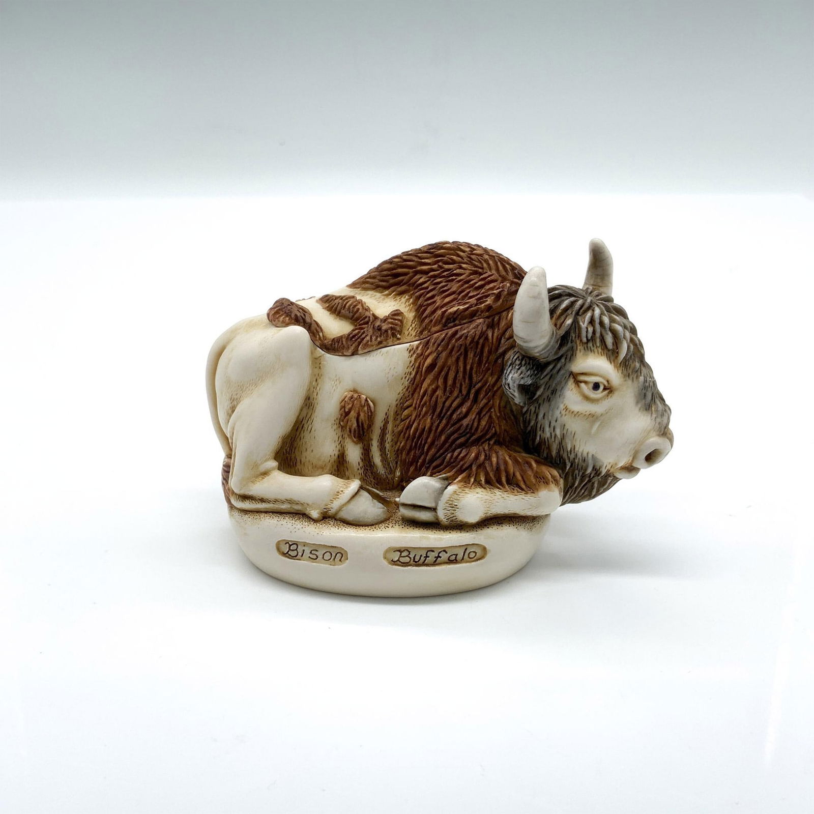 Harmony Kingdom Buffalo/Bison Box Figurine, O Give Me A Home (1 of 5)