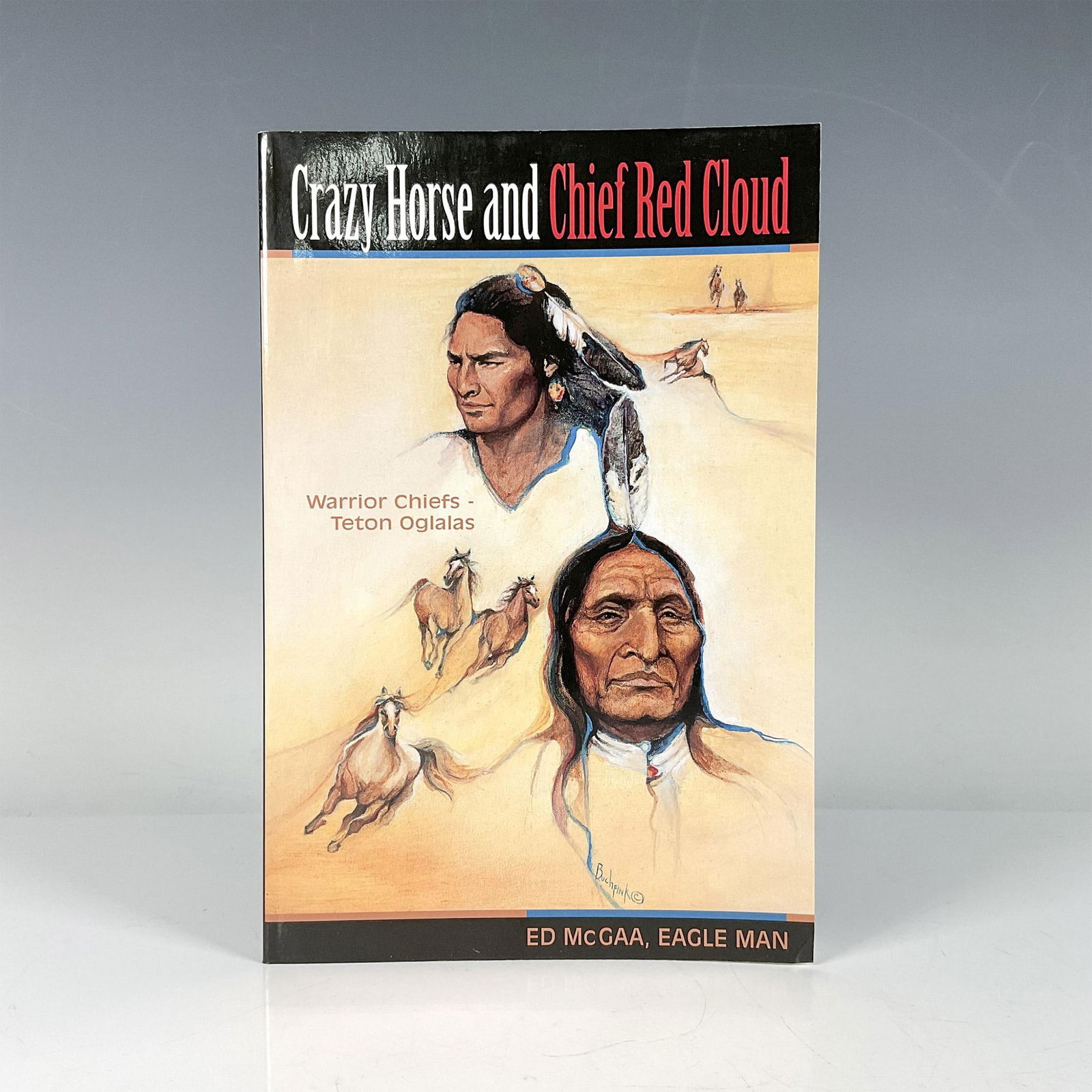 1st Ed. Signed Ed McGaa Book, Crazy Horse & Chief Red Cloud (1 of 7)