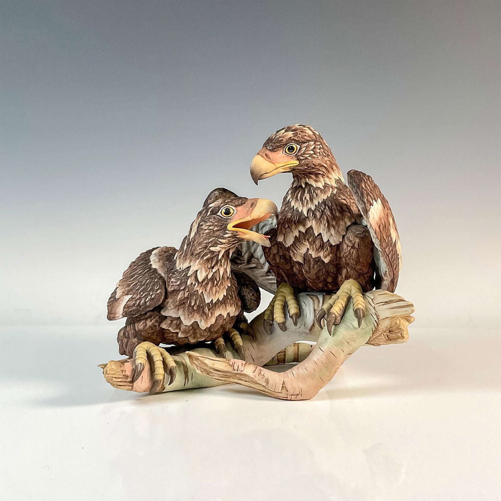 Boehm American Bald Eagle Figurine, Young And Spirited (1 of 4)