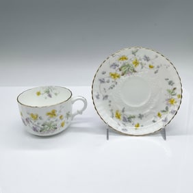 2pc William Alsager Adderley Cup and Saucer, Spray No. 42