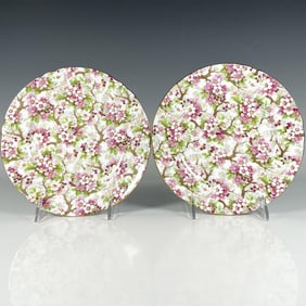 2pc Shelley Bone China Salad Plates, Maytime