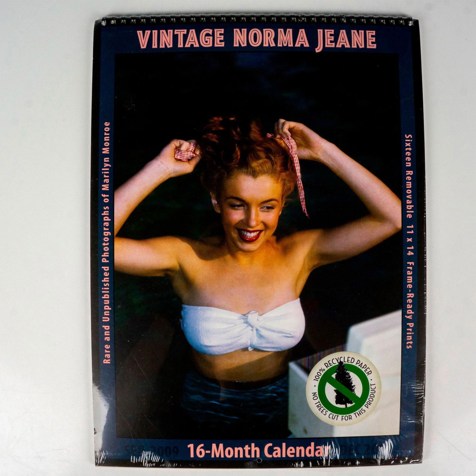 Asgard Press Collectible Calendar, Vintage Norma Jean 2010 (1 of 2)