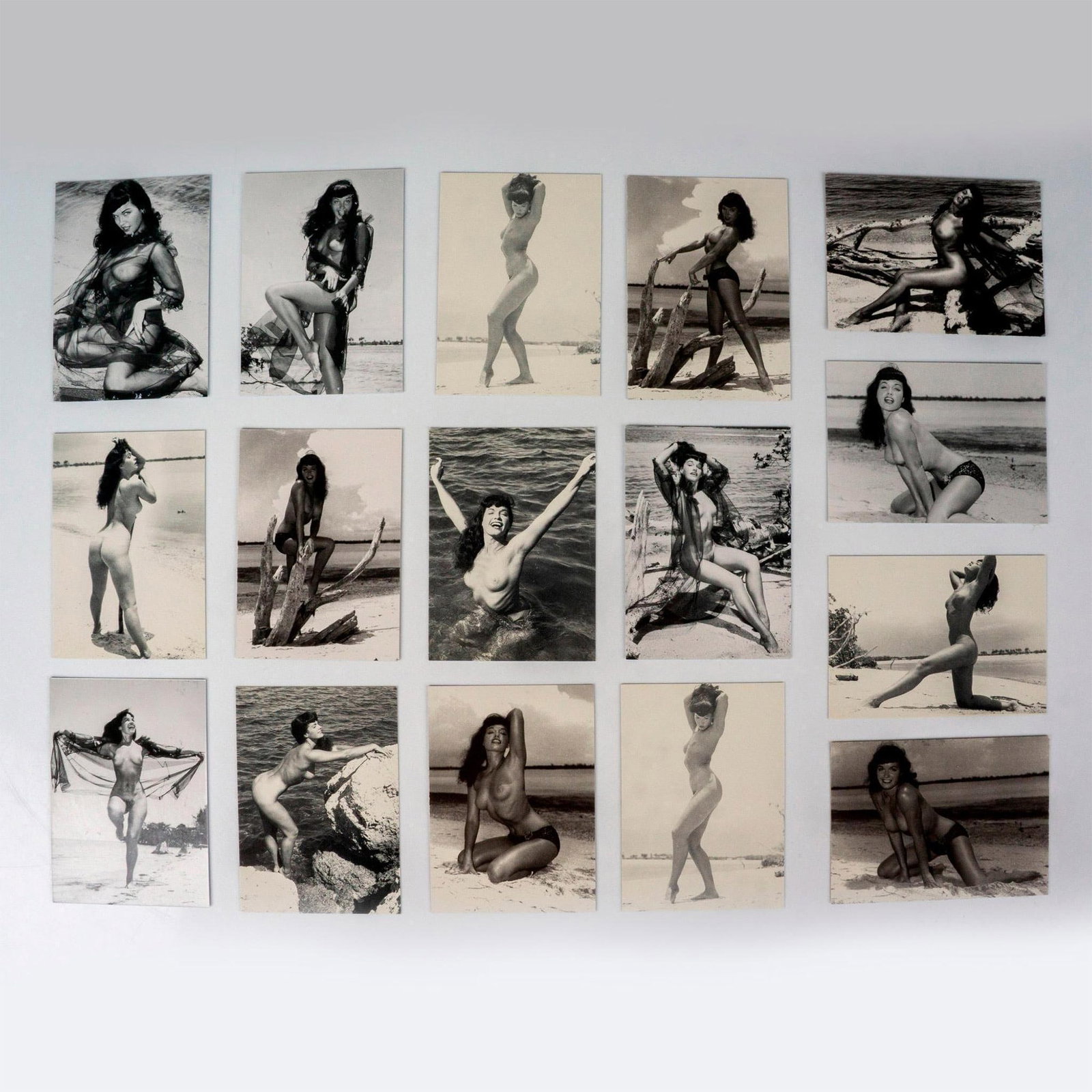 16pc 21st Century Archives Trading Cards, Bettie Page: Amazing collectible trading card set featuring American pin-up model Bettie Page. Each trading card features Bettie Page in the nude posing on the beach. Includes cards from the following series: (6)