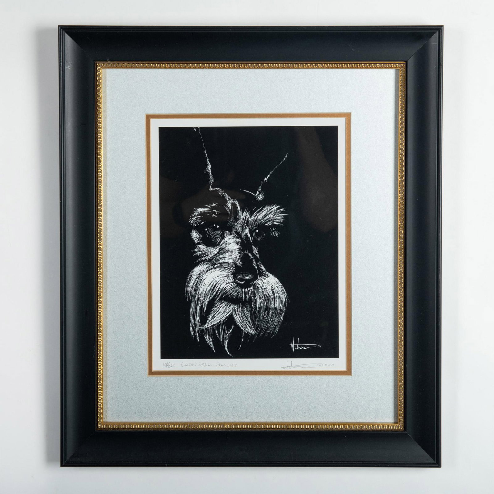 Stephen Wetmore, Direct Engraving on Paper, Schnauzer Signed: Direct engraving on paper by Stephen Wetmore who scratches off the dark ink of the plate to reveal an ultra realistic depiction of a Schnauzer dog made with white lines as in a black and white photogr