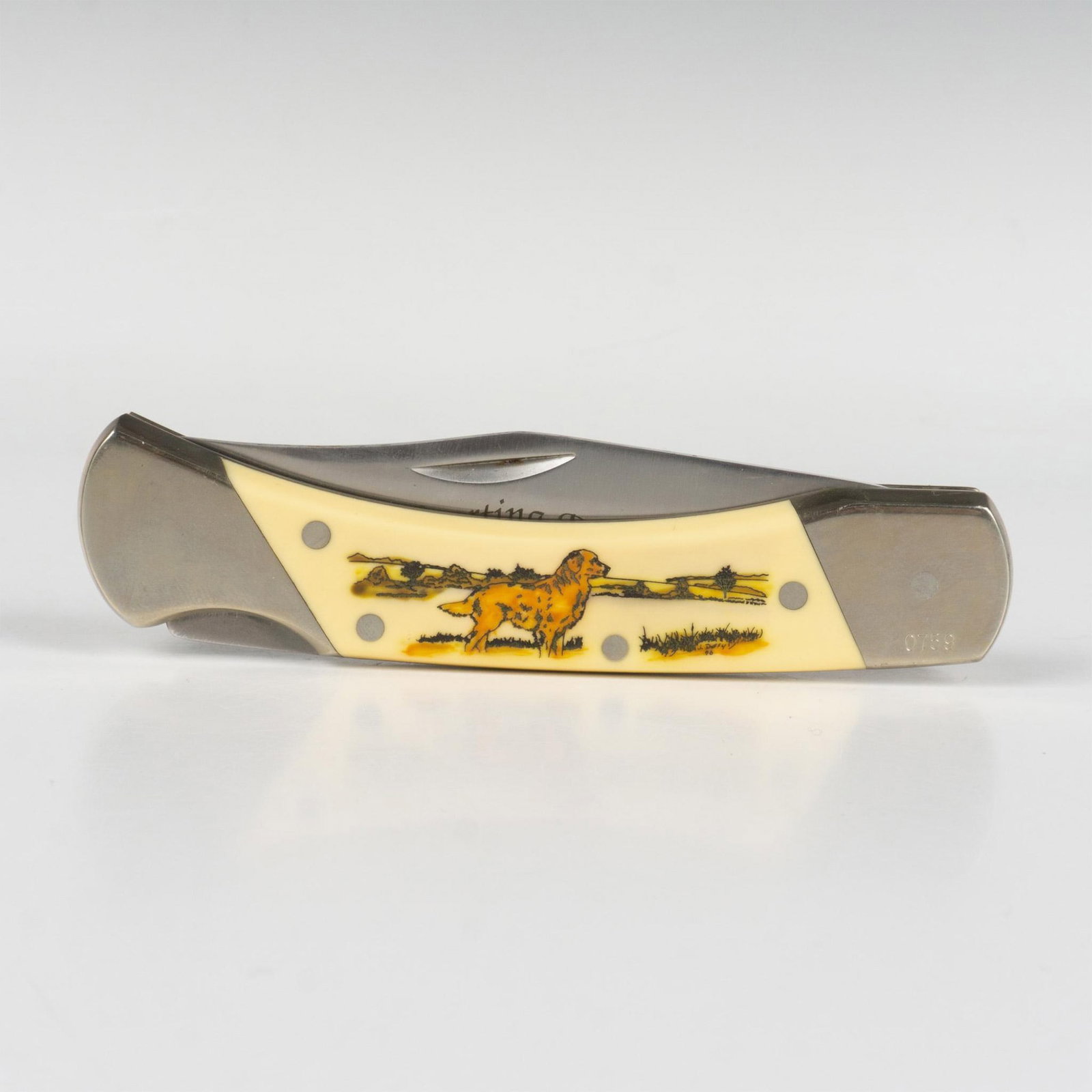 Schrade Scrimshaw Pocket Knife, Golden Retriever: This limited-edition folding knife features nickel silver bolsters and liners, etched scales with a Golden Retriever illustration, and an etched blade with Sporting Dogs written on it. Closed measurem