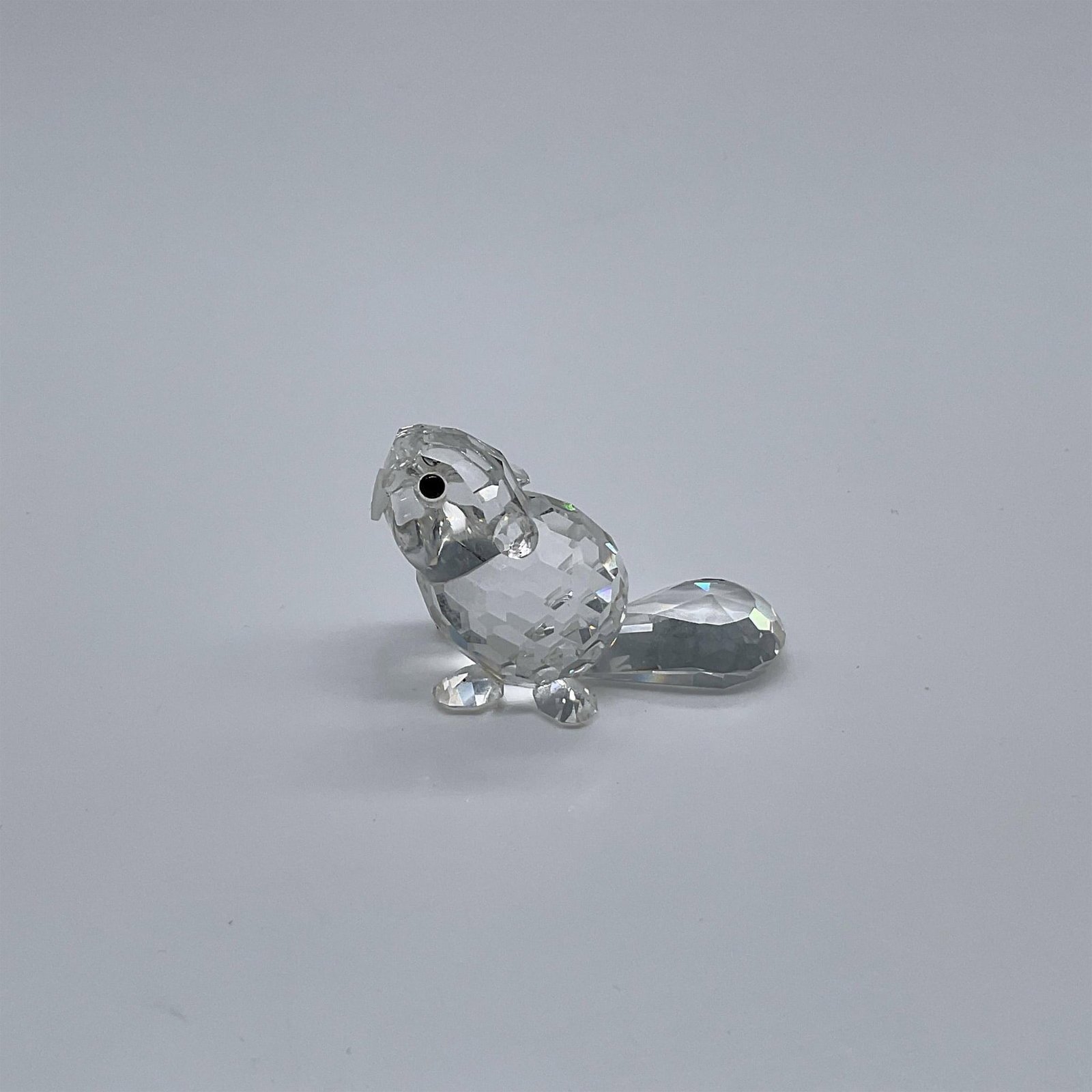 Swarovski Crystal Figurine, Beaver - Baby Sitting: Part of the Endanger Species group. The tiny beaver is made from clear crystal with black crystal eyes and frosted teeth. Swarovski swan mark. This item has its original box: 3.25"W x 2.5"H. Artist: A