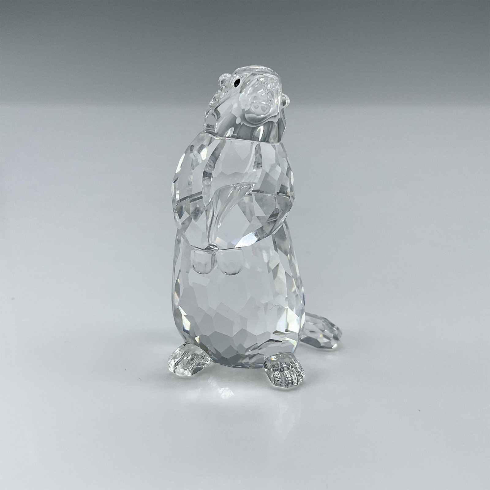 Swarovski Crystal Figurine, Groundhog: Part of the Woodland Friends collection. A clear crystal figure of a marmot with black crystal eyes. Swarovski backstamp. Artist: Heinz Tabertshofer Issued: 2002-2006 Dimensions: 1"L x 0.75"W x 2"H Ma