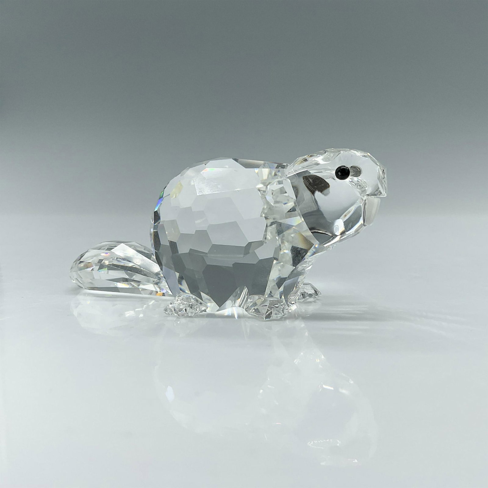 Swarovski Silver Crystal Figurine, Mother Beaver: Lead crystal part of Endangered Species series, made with frosted crystal teeth and jet crystal eyes. Swarovski etched backstamp. Artist: Adi Stocker Issued: 1992-1996 Dimensions: 3.25"L x 1.75"W x 1.