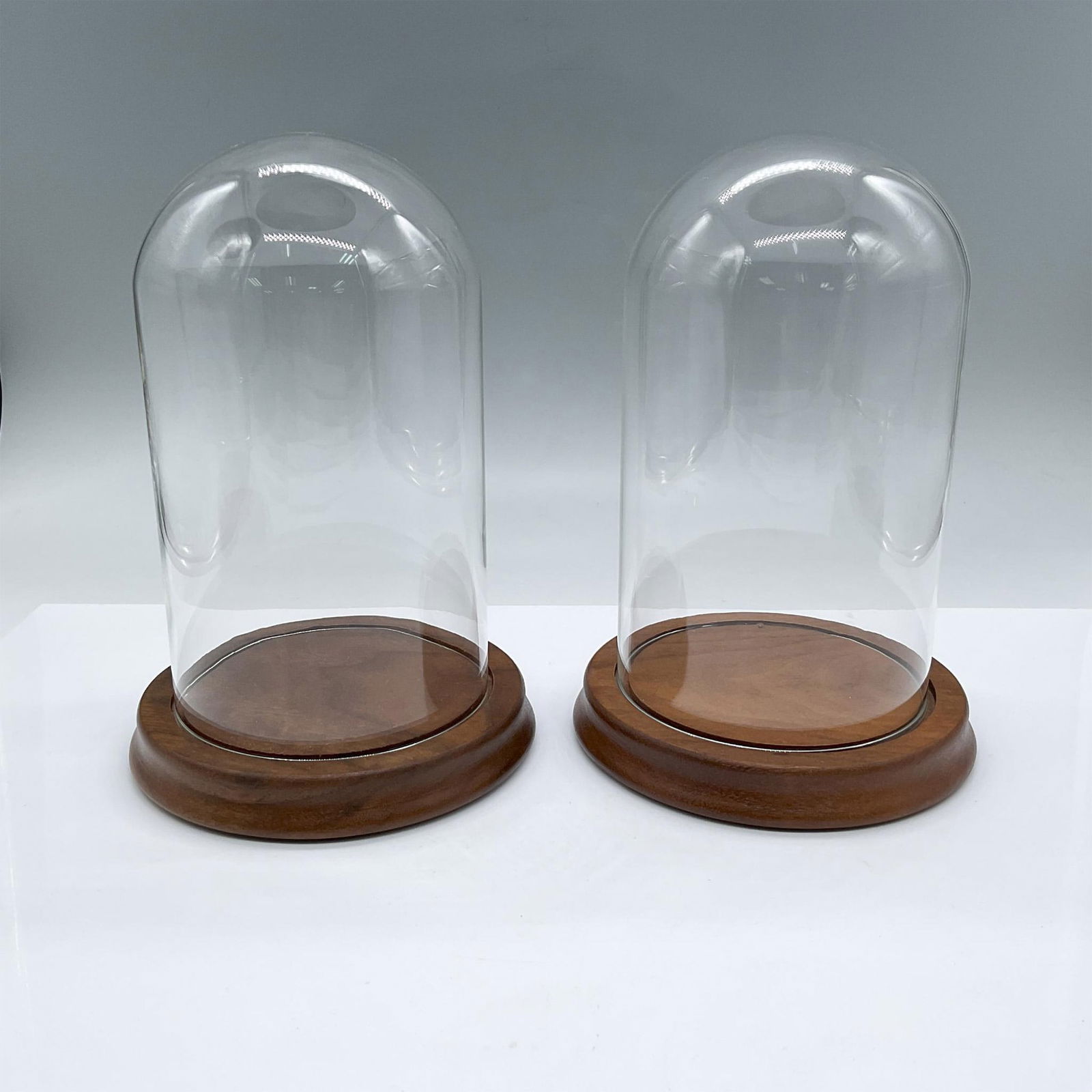 2pc Glass Display Dome (1 of 3)