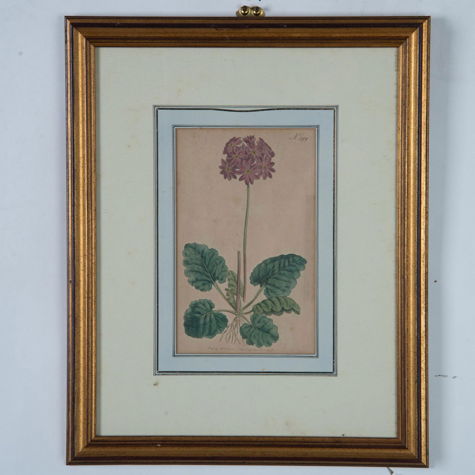 William Curtis, Antique Hand-Colored Botanical Engraving (1 of 5)