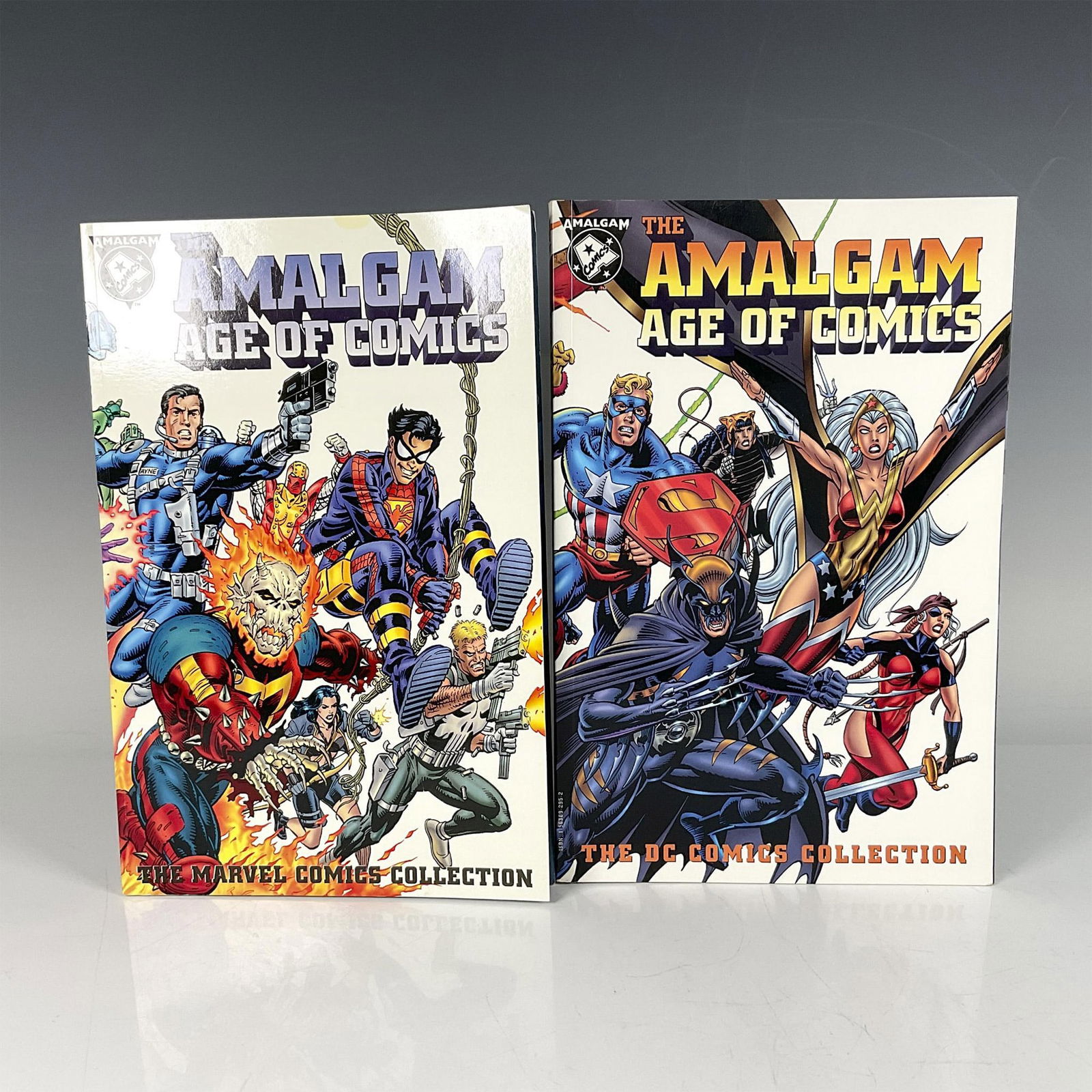 2pc Marvel and DC Graphic Novels, The Amalgam Age of Comics (1 of 4)