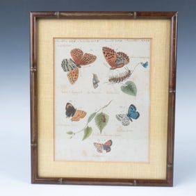 Friedrich Johann Bertuch, One-of-a-Kind Hand-Colored Plate