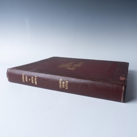 Original 1903 Folio Jacob Studer The Birds of North America