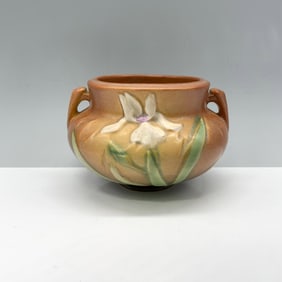 Vintage Roseville Pottery Decorative Pot, Brown Iris