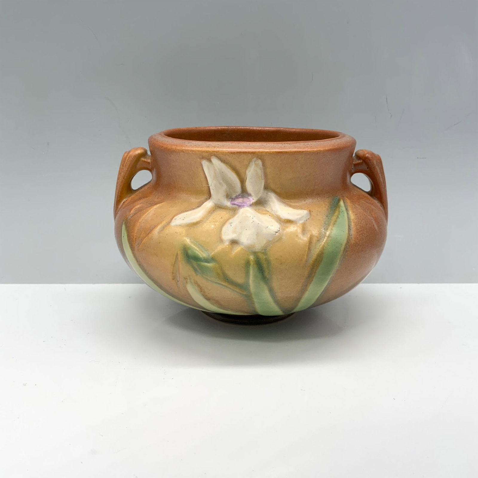 Vintage Roseville Pottery Decorative Pot, Brown Iris (1 of 3)