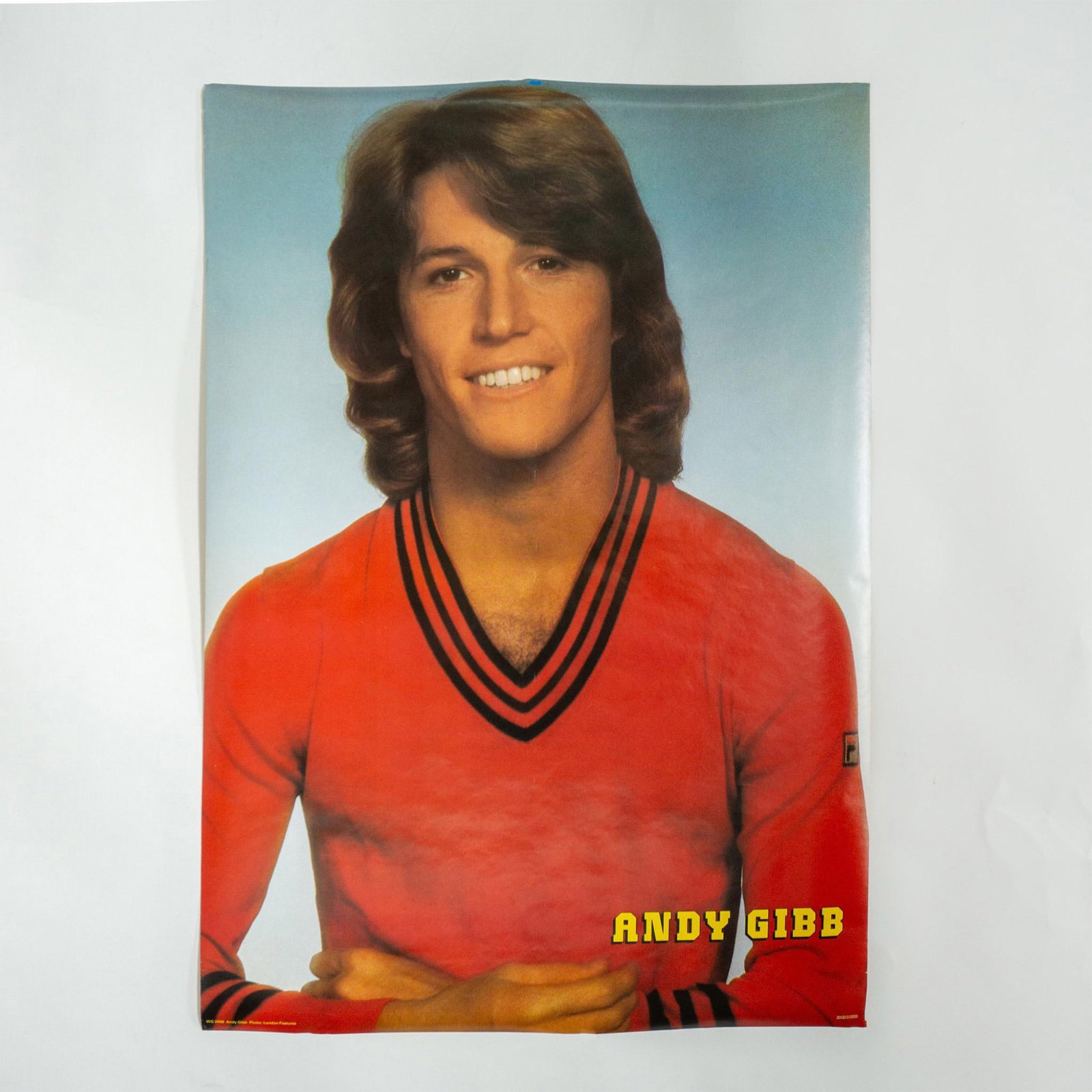 Heartthrob Singer Andy Gibb Poster, WG 2439: Andy Gibb entertained and energized audiences for nearly two decades and then broke their hearts with his untimely death, at just 30 years old. Large poster is officially licensed and copyrighted with