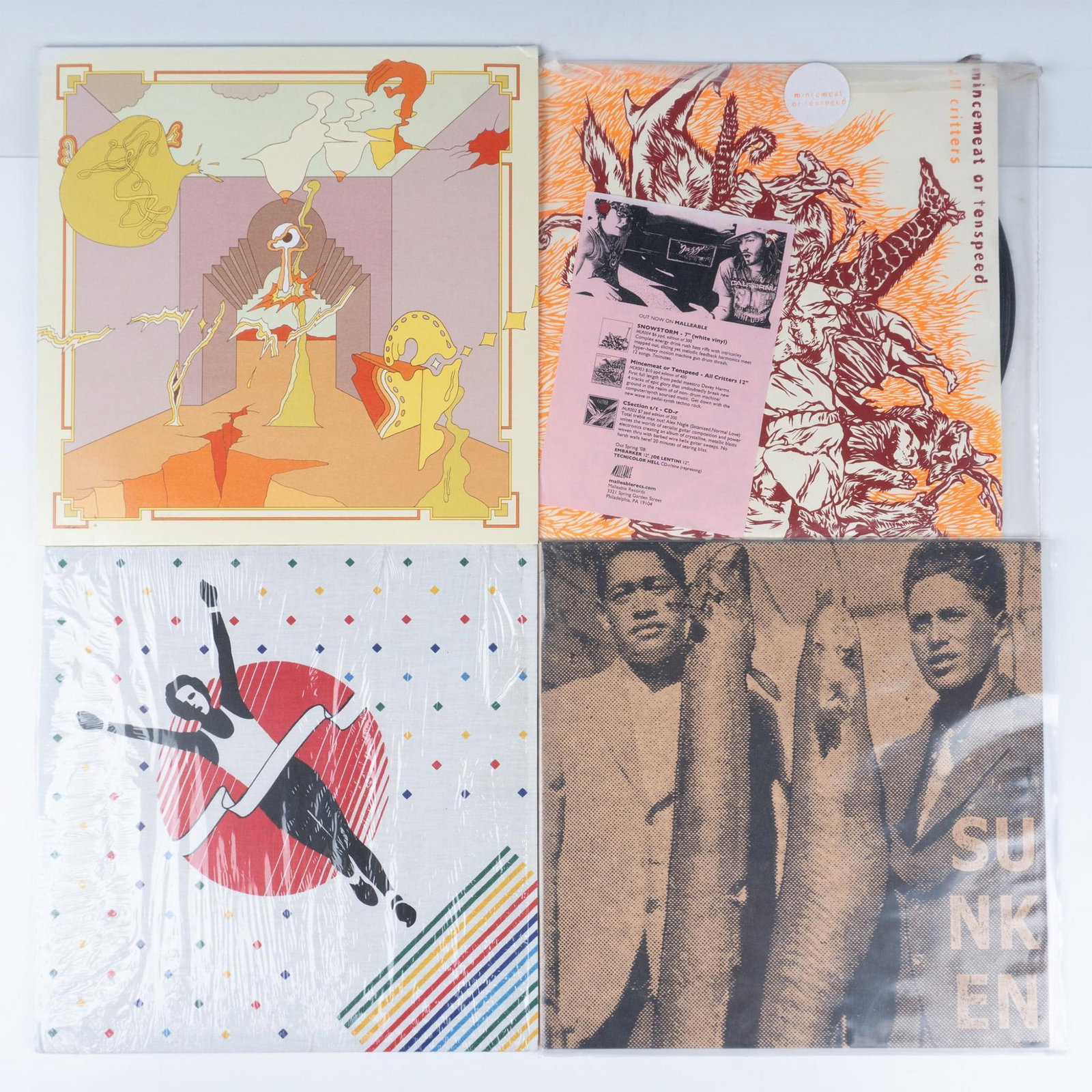 6pc Rock and Experimental Vinyl Record Collection: This ensemble includes AIDS Wolf: Ma Vie Banale Avant-Garde, Bill Orcutt: A New Way To Pay Old Debts, Catholic Spray: Earth Slime, and more. The dimensions of the collection measures: 12.75"L x 1"W x 
