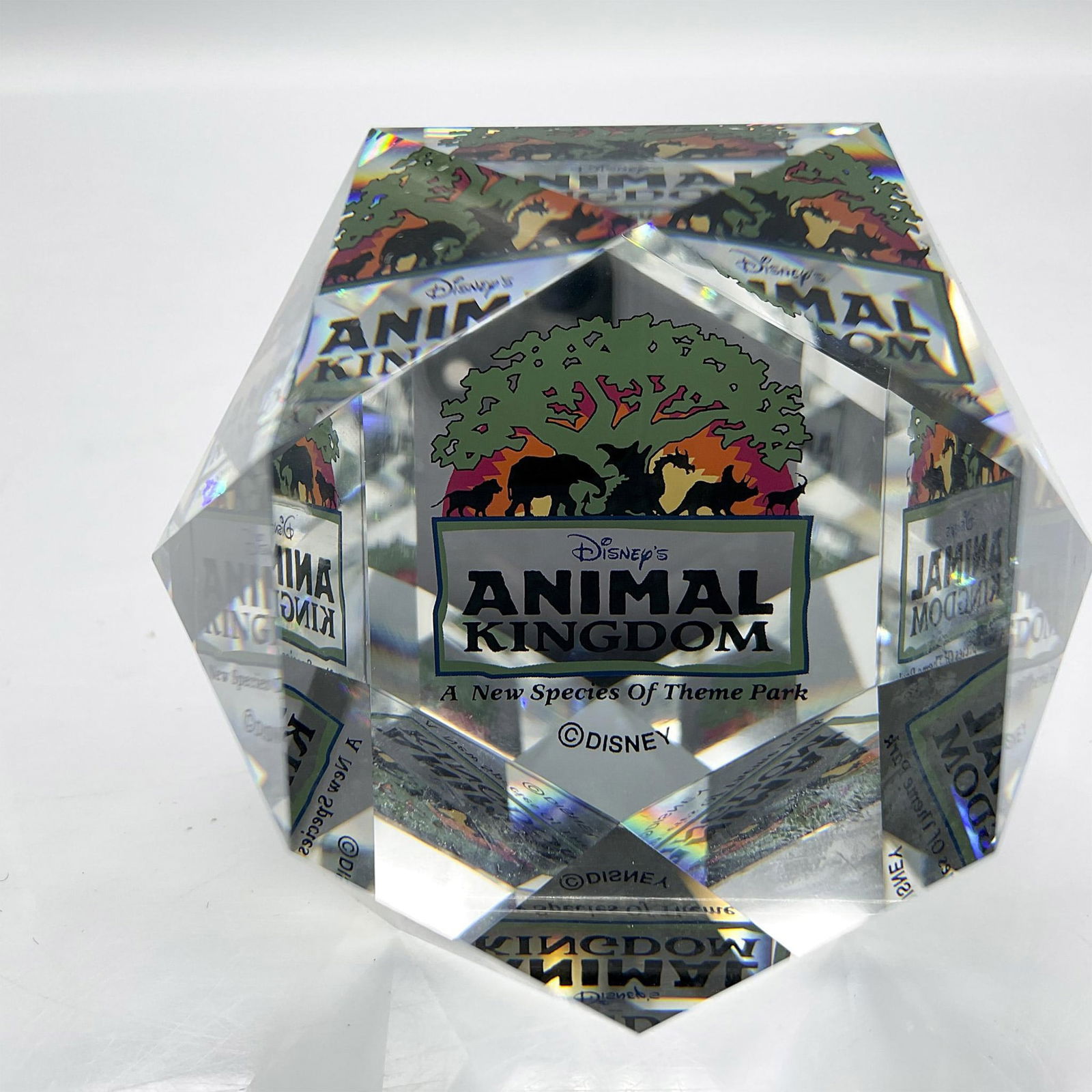 Arribas Bros. Crystal Paperweight, WDW Animal Kingdom (1 of 4)