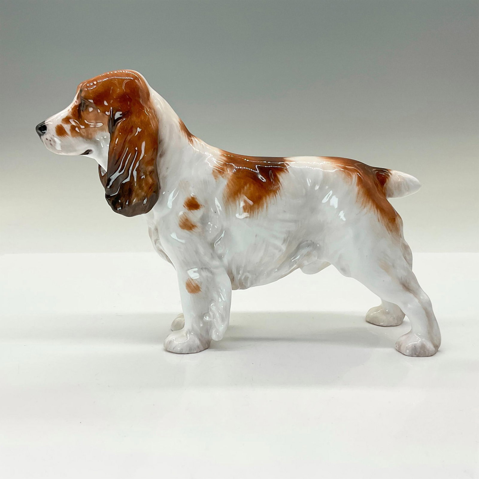Royal Doulton Porcelain Dog Figurine, Cocker Spaniel HN1036: Medium size fine bone china cocker spaniel figurine. White coat with brown patches and black accents on the nose, eyes. and ear tips. Royal Doulton backstamp in green. Artist: Frederick Daws Issued: 1