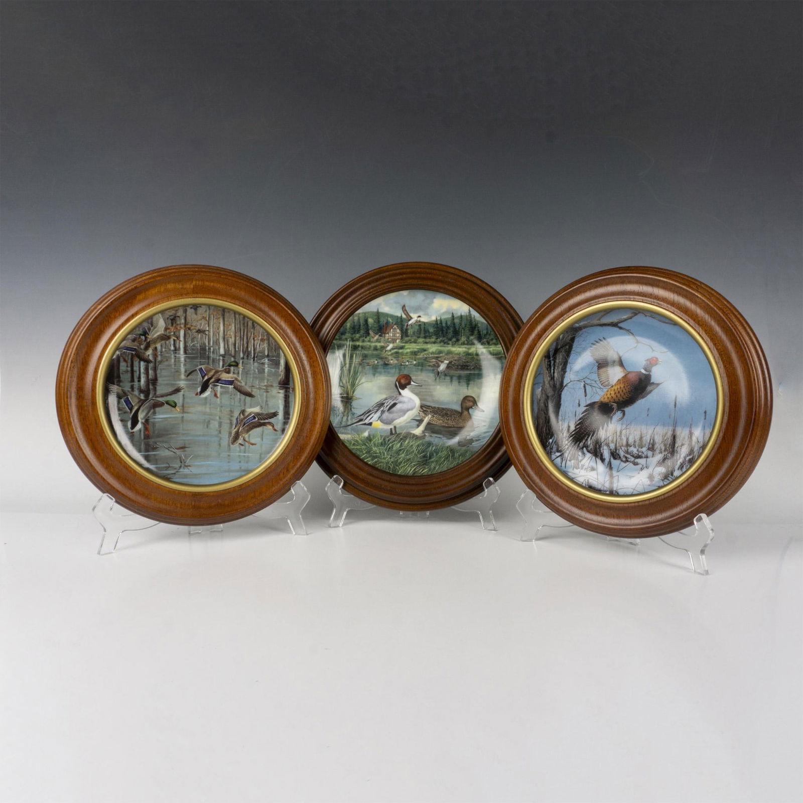 3pc Porcelain and Fina China Wildlife Bird Plates (1 of 10)