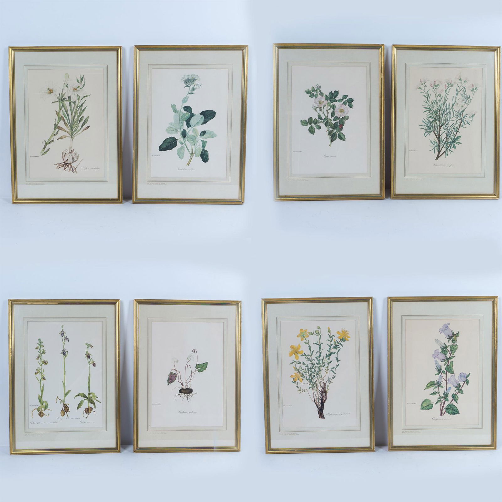 Set of 8 Flora Color Prints on Paper after Niki Goulandris (1 of 6)