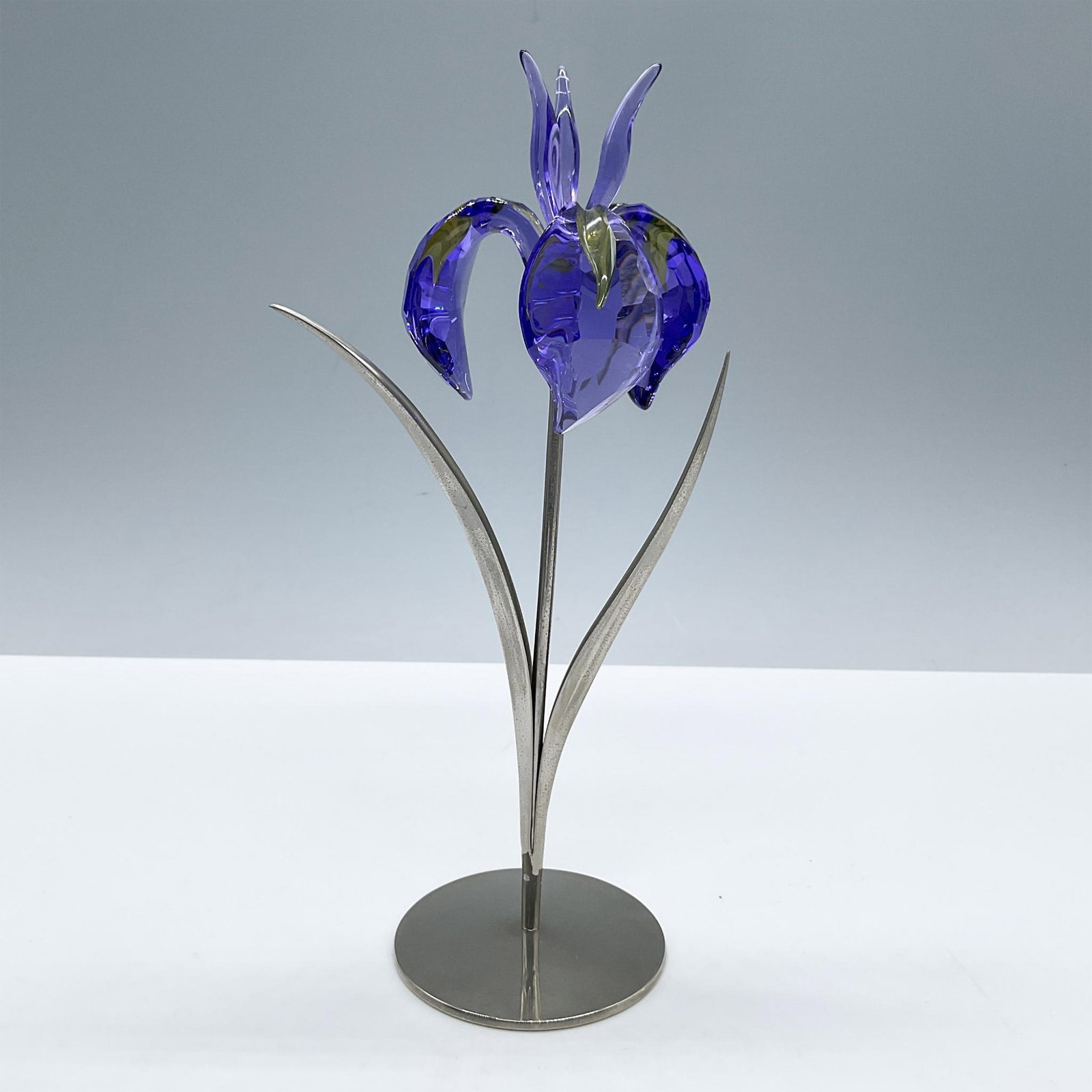 Swarovski Crystal Paradise Flower, Damboa Blue Violet: An iris-like Paradise Flower from the Exotic Flowers collection. Stunning blue violet petals with segments of yellow. Beautifully joined to a silver-tone metal stem and leaf. Swarovski impressed stamp
