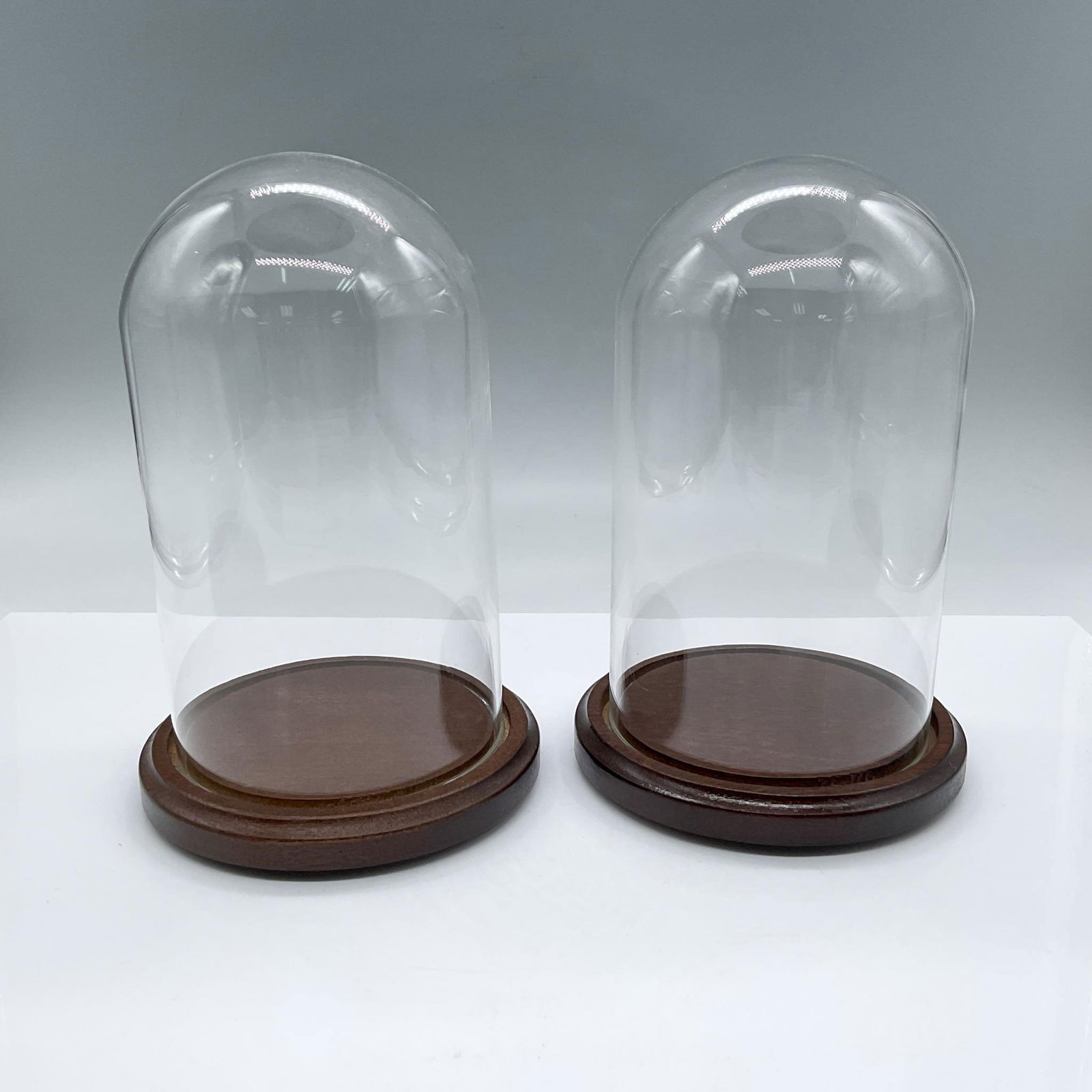 2pc Glass Dome Display (1 of 3)