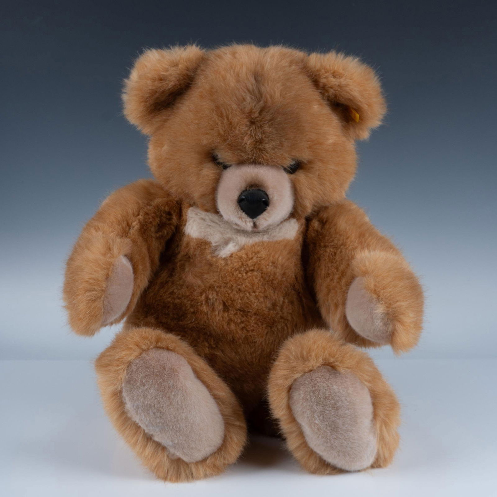 Vintage Steiff Teddy Bear, Molly Bear 0320/65 (1 of 5)