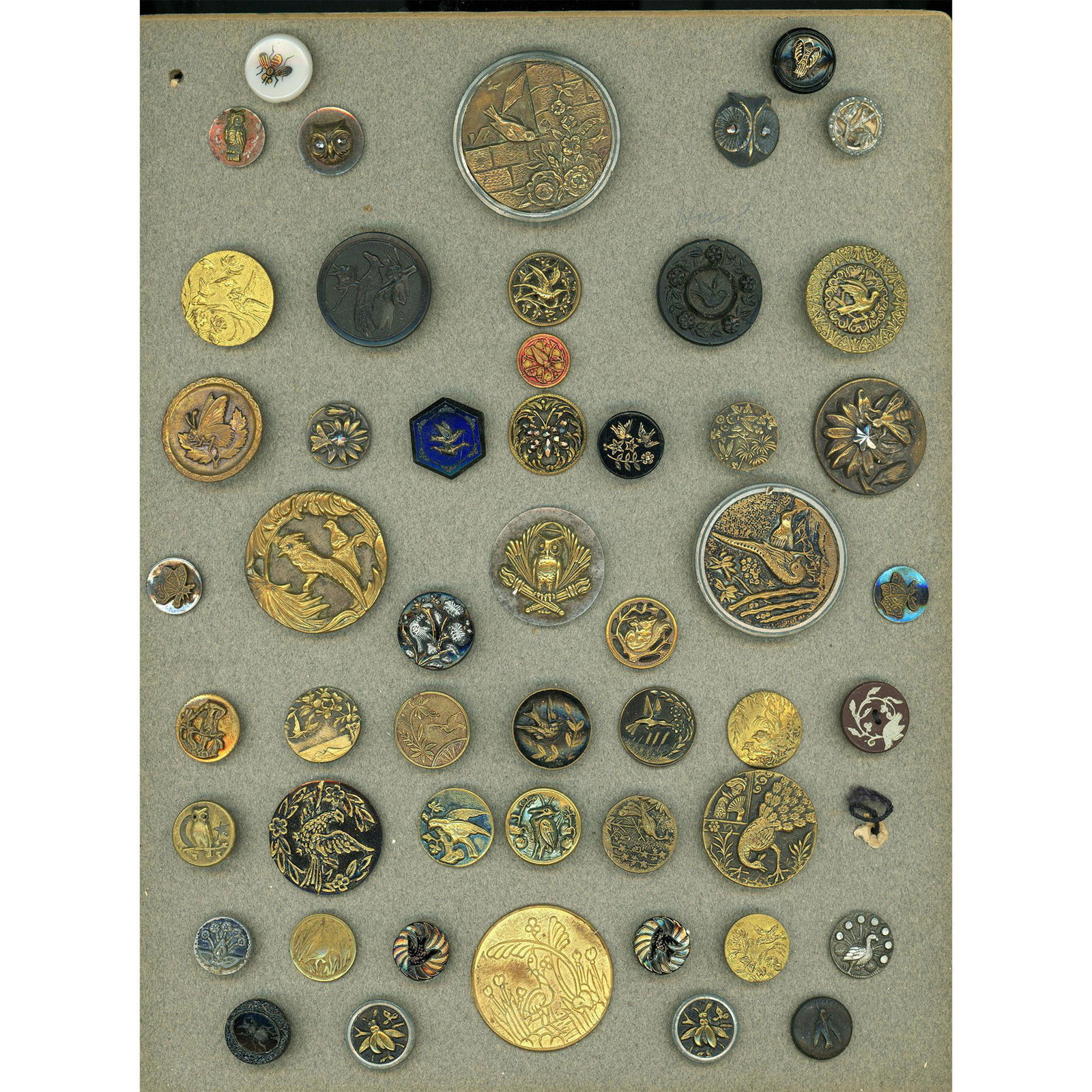 A card of assorted material bird & insect buttons (1 of 4)