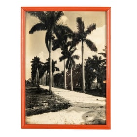 Richard B. Hoit Silver Gelatin Photograph Florida Palm Trees