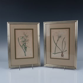 2pc William Curtis Hand Painted Copper Plate Engravings