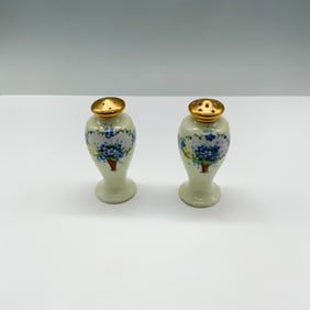 Stouffer Hand-Painted Salt and Pepper Shakers