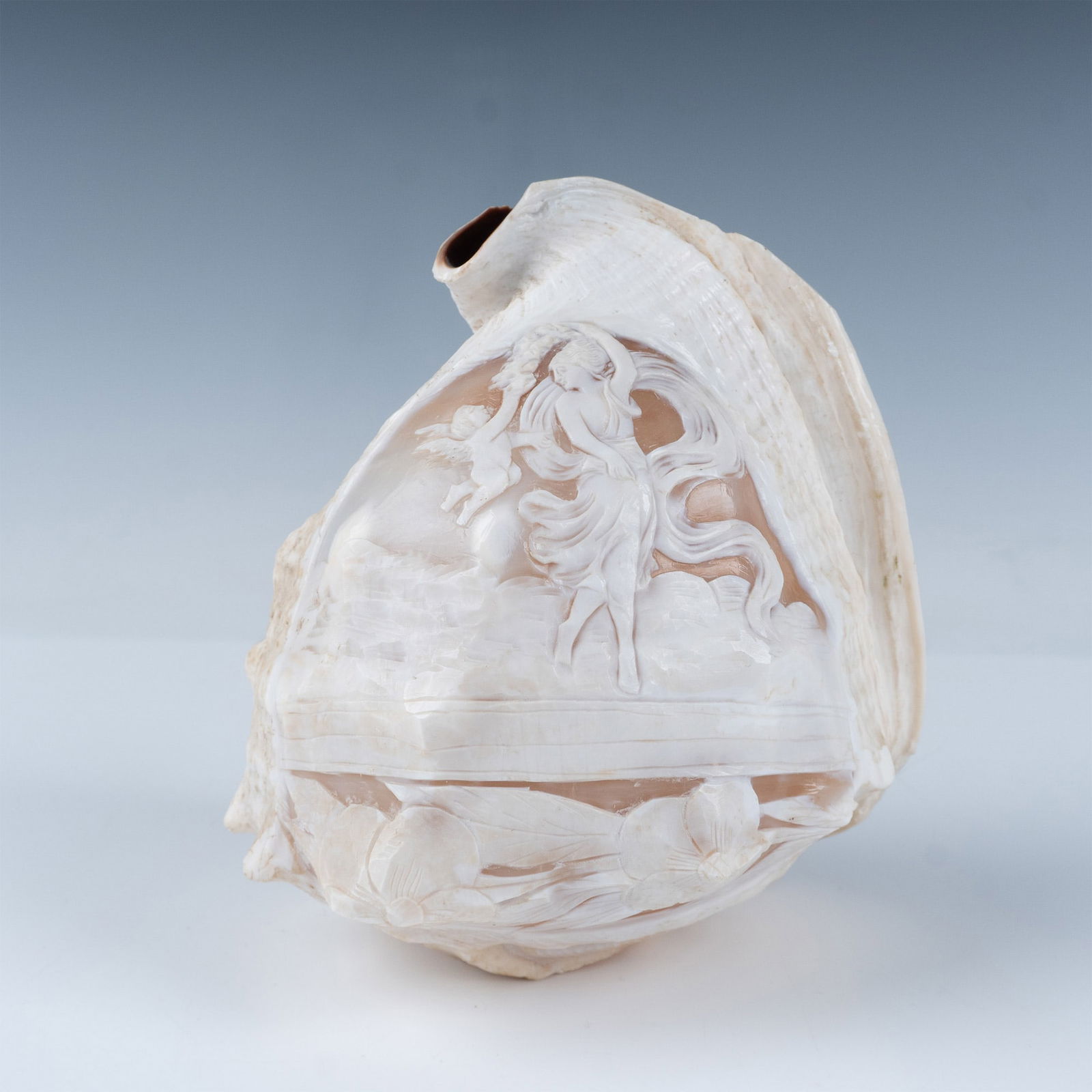 Carved Conch Shell Cameo (1 of 3)