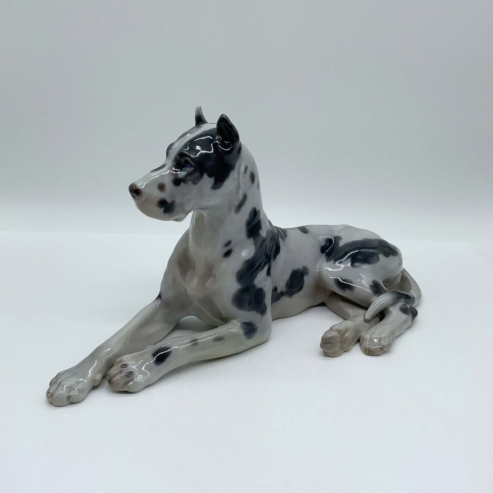Bing & Grondahl Porcelain Great Dane Figurine #1773: A finely crafted Bing & Grondahl porcelain figurine of a reclining Great Dane, model #1773. Featuring a hand-painted harlequin coat, this piece captures the breed?s noble stance with lifelike detail.