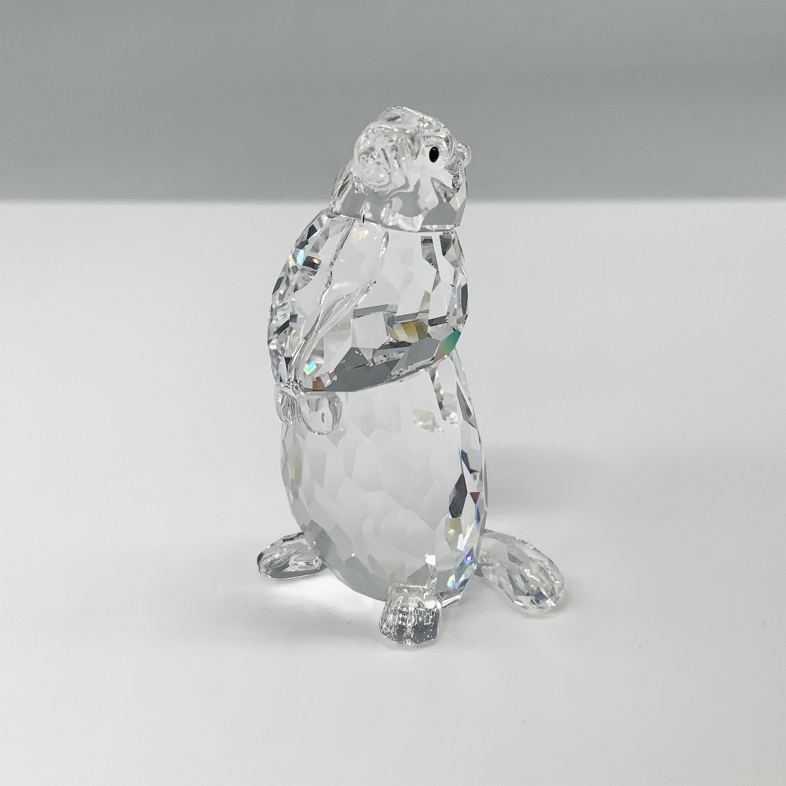 Swarovski Crystal Figurine, Marmot w/ Original Box: Swarovski crystal figurine of a marmot from the Woodlands Friends collection. Designed by Heinz Tabertshofer, the marmot is crafted from clear faceted crystal with intricate details. The figurine feat