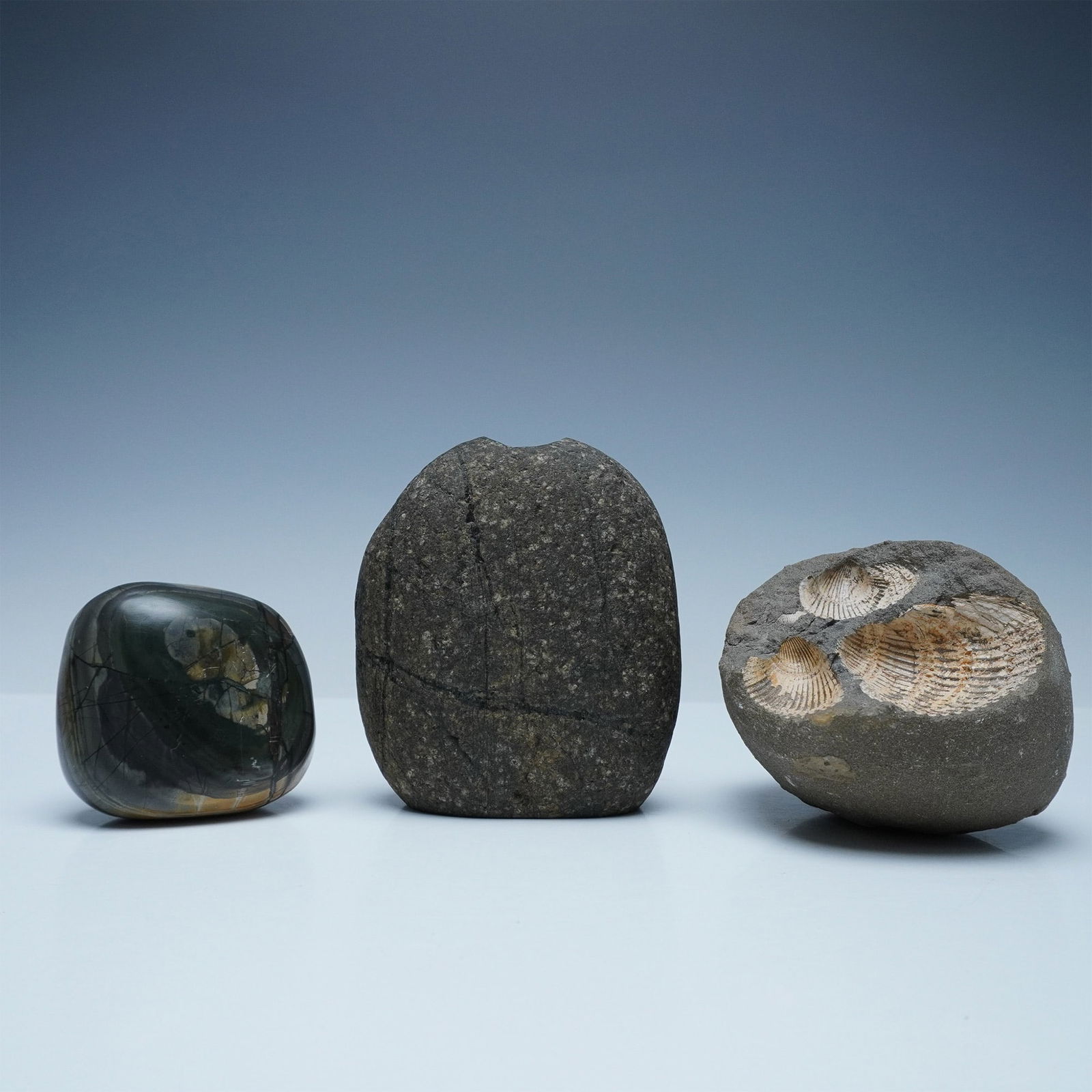 Collection of Three Natural and Polished Stones, Including Fossilized Shell (1 of 3)