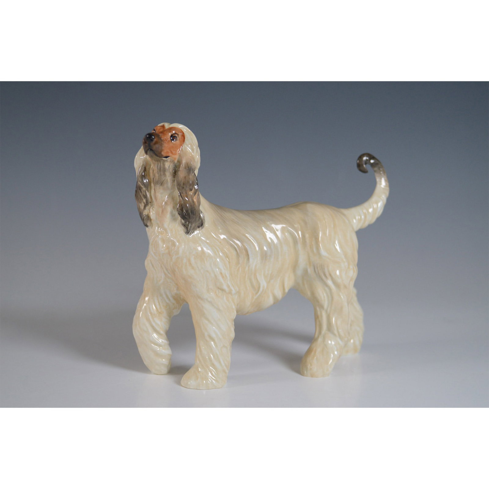 Royal Staffordshire Figurine, Afghan Houn: Royal Staffordshire English Bone China figurine of an Afghan Hound, modeled after Champion Daturrah Teelemachos. This finely crafted porcelain figure showcases a detailed coat in a natural cream and t