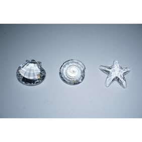 Swarovski Crystal Sea Shell Renewal Gifts Collection