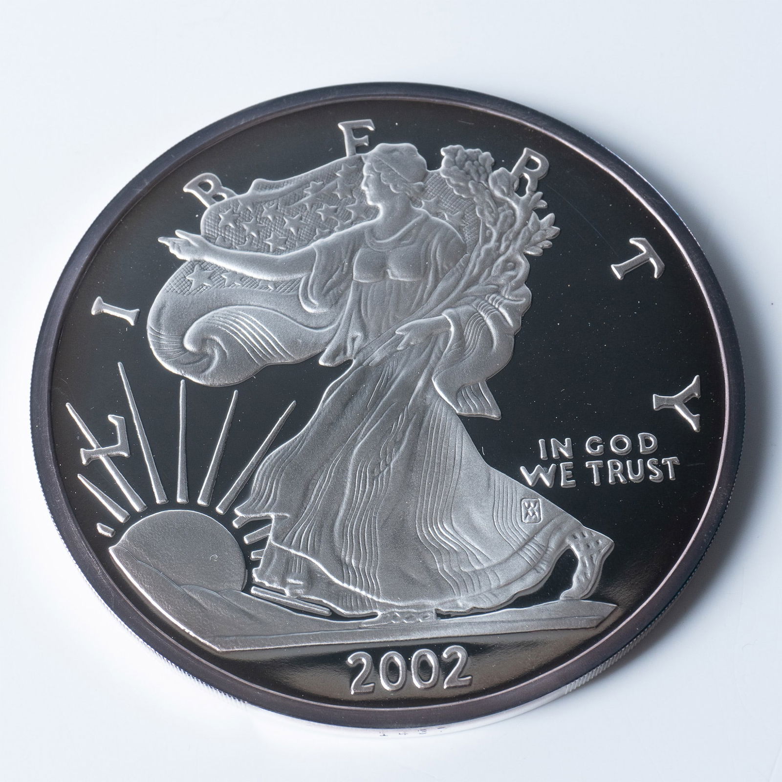 Washington Mint 2002 Giant Half Pound Silver Eagle Coin (1 of 3)
