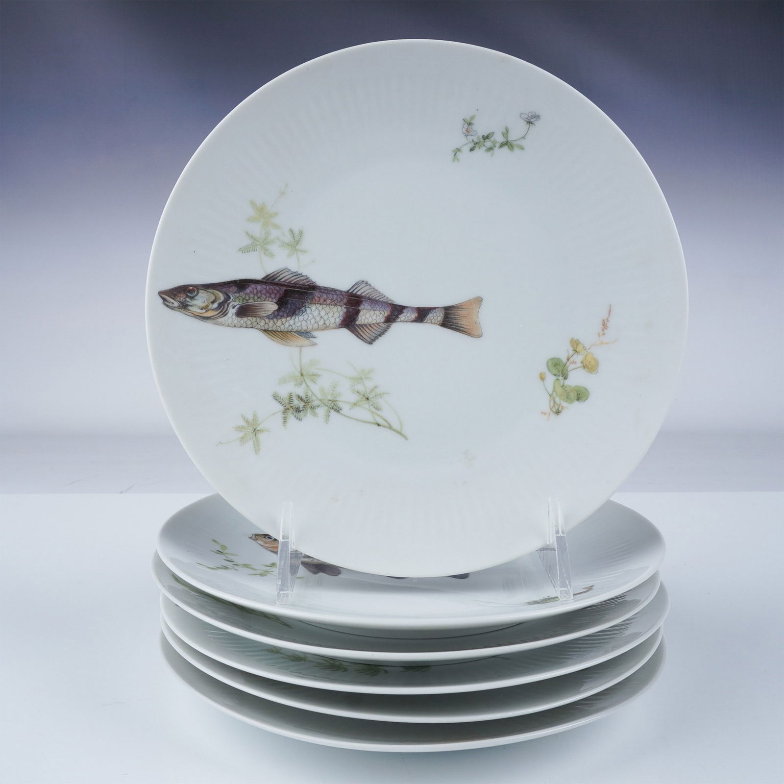 Bareuther Bavaria Porcelain Plates, Set of 6, Fish Motif (1 of 5)