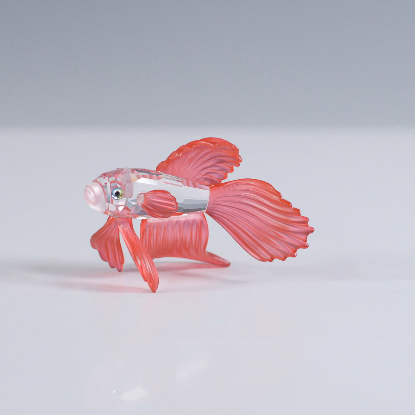 Swarovski Crystal Figurine, Red Siamese Fighting Fish: A striking Swarovski Silver Crystal Red Siamese Fighting Fish, expertly crafted with a faceted clear crystal body and bold red frosted crystal fins. This elegant figurine captures the beauty and motio