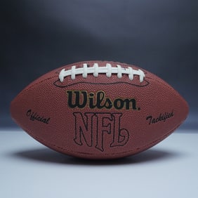 Jerry Rice Autographed Wilson NFL Football with Display Case
