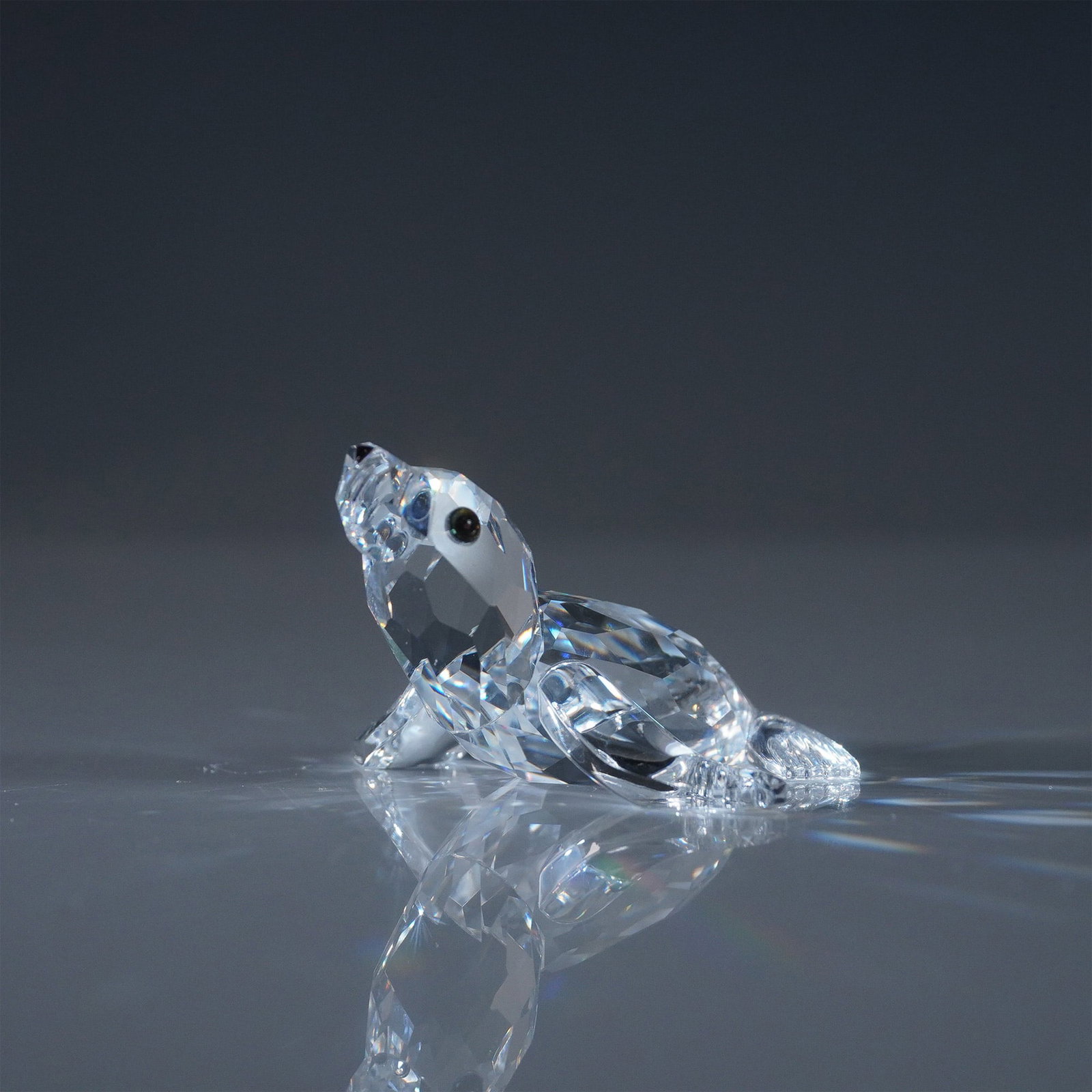 Swarovski Crystal Figurine, Baby Sea Lion: A Swarovski Silver Crystal figurine depicting a charming baby sea lion, crafted in precision-cut clear crystal with black crystal eyes. This playful marine-themed piece is part of the Swarovski Aquati