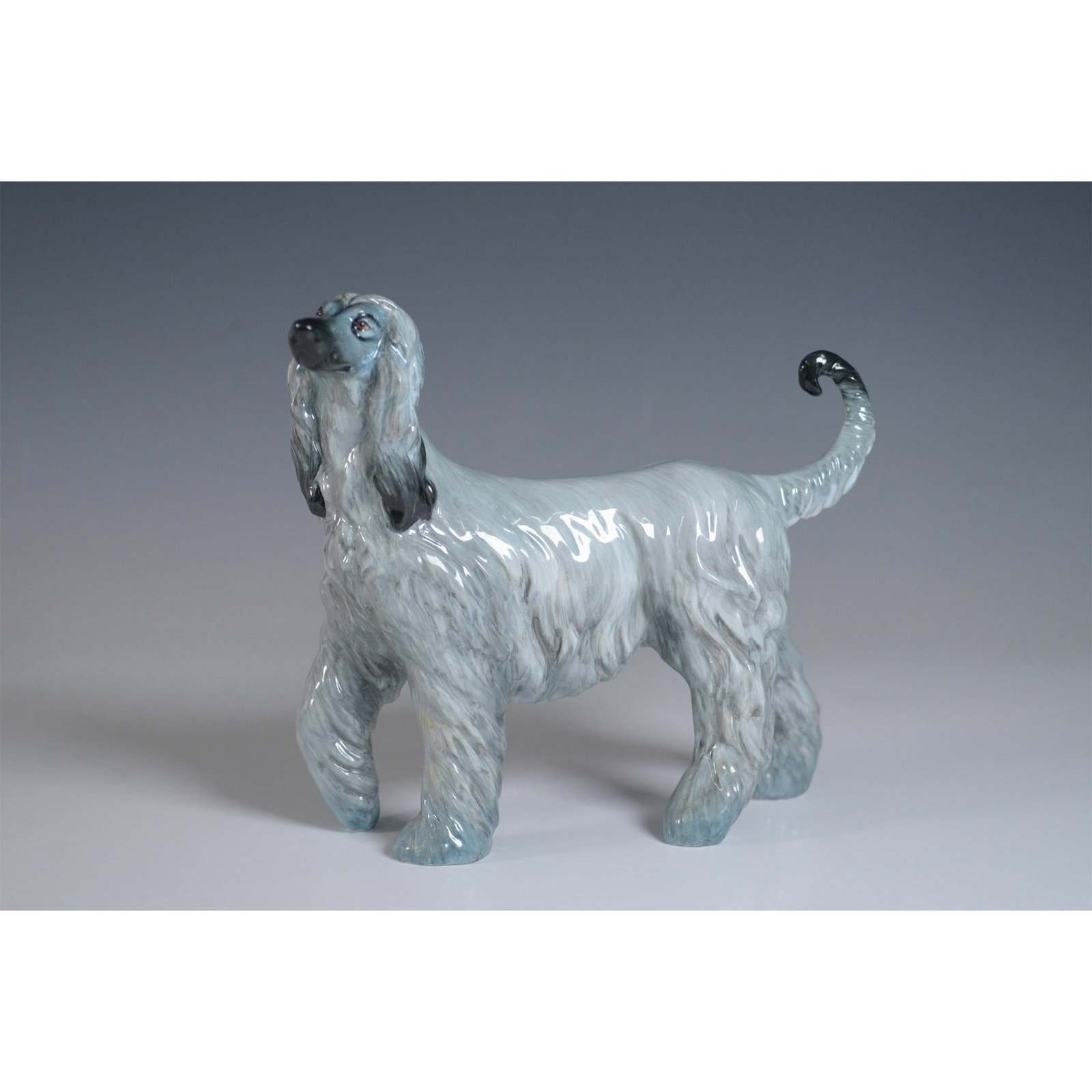 Royal Staffordshire Figurine, Afghan Hound: Royal Staffordshire English Bone China figurine of an Afghan Hound, modeled after Champion Daturrah Faedrah. This exquisitely detailed collectible features a flowing coat in shades of blue-gray with h