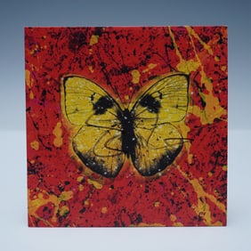 Ed Sheeran Shivers CD Album, Autographed Limited Edition Art Cover