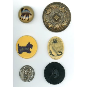 A small card of division one and three animal buttons
