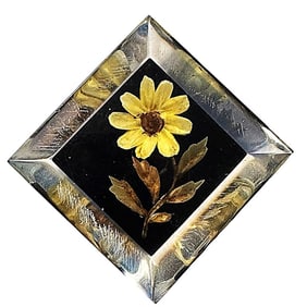 A division three pictorial Lucite button