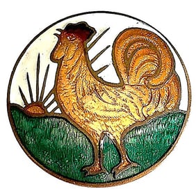 A division one pictorial enamel button