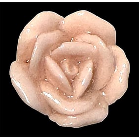 A scarce division one carved shell realistic button